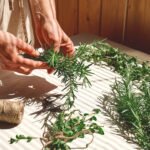 alternative medicine. woman holding in her hands a bunch of rosemary. herbalist woman preparing fresh scented organic herbs for natural herbal methods of treatment.